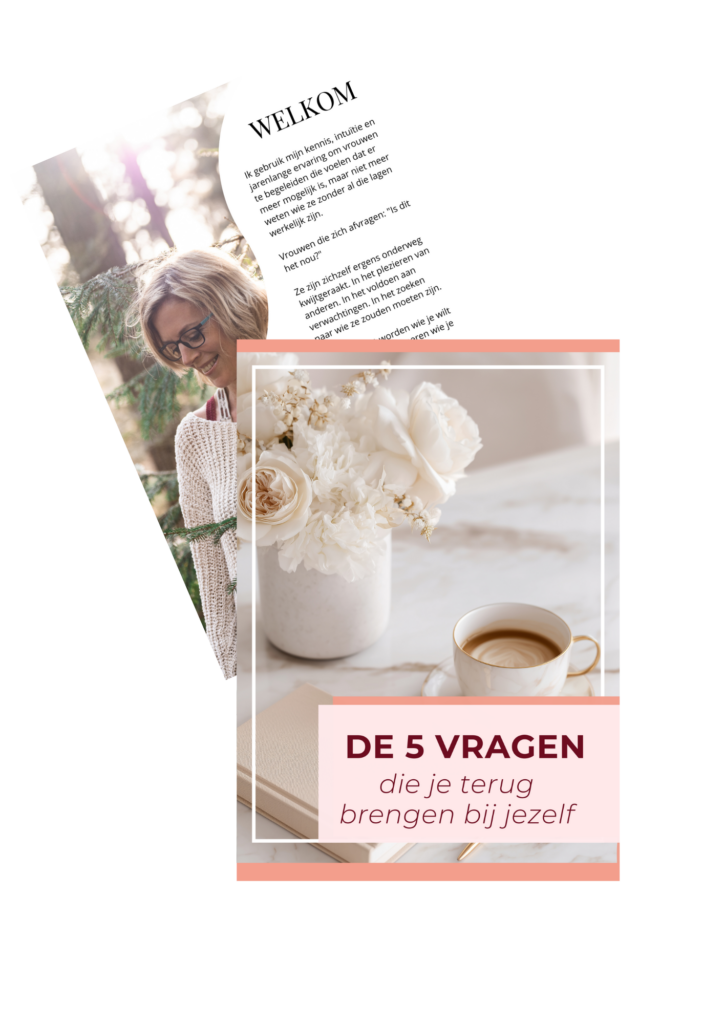 5 vragen ebook